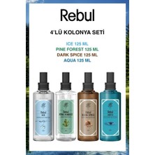 Rebul Aqua-Ice-Dark Spice-Pine Forest Plastik Şişe 125ml Set