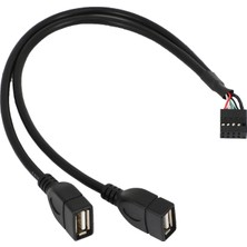 Passing 30CM 10 Pin Anakart Dişi Başlık 2 Portlu Çift USB 2.0 Erkek Adaptör Dupont Y Splitter Kablosu (10PIN/2AM) (Yurt Dışından)