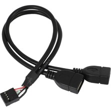 Passing 30CM 10 Pin Anakart Dişi Başlık 2 Portlu Çift USB 2.0 Erkek Adaptör Dupont Y Splitter Kablosu (10PIN/2AM) (Yurt Dışından)