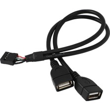 Passing 30CM 10 Pin Anakart Dişi Başlık 2 Portlu Çift USB 2.0 Erkek Adaptör Dupont Y Splitter Kablosu (10PIN/2AM) (Yurt Dışından)