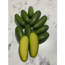 Anamur Meyvecim Bebek Avokado 1 kg Taze Hasat