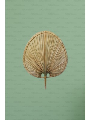 Naturel Home Bohem Japon Yelpazesi 42X55 Cm, Duvar Dekorasyon, Duvar Süsü, Iskandinav, Modern, Rattan