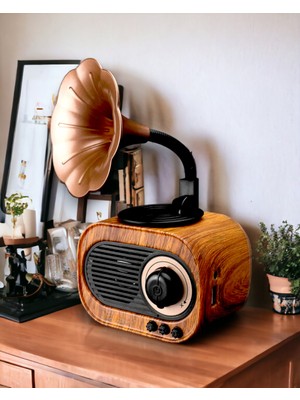 Royal Trend Ahşap Desenli Nostaljik Klasik Radyo Gramofon, Yüksek Ses si, Bluetooth Müzik Kutusu (MN-S19)