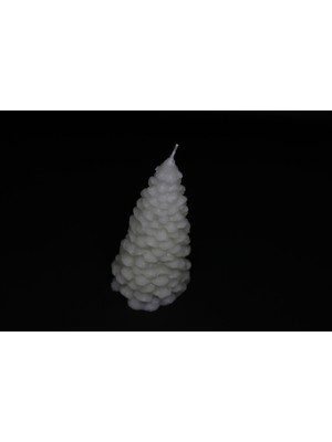 Beetiful Dekoratif Turuncu Çam Mum (Kokulu)