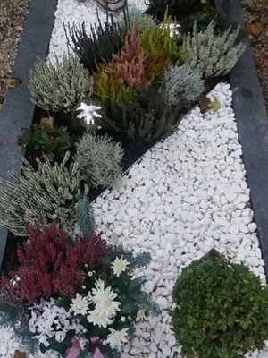 Ahs Beyaz Dolomit Taş 20 kg 6-10 cm Dere Çakıl Taşı Bahçe Peyzaj Süs Taşı Saksı Teraryum Akvaryum Taşı