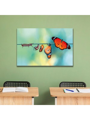 Gaagart Tekli Yatay Kanvas Duvar Tablosu Tırtıl ve Kelebek Döngüsü
