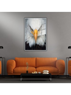 Gaagart Metal Çerçeveli Cam Tablo Yakın Çekim Kartal Görseli