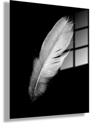 Gaagart Temperli Gerçek Cam Tablo Beyaz Şans Kuş Tüyü Görseli