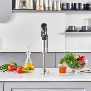 Handmaid 1964H Inox El Blenderı