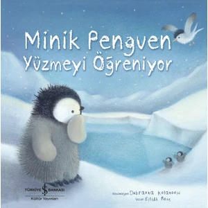 Minik Penguen Yüzmeyi Öğreniyor - Eilidh Rose