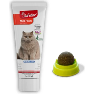 Biofeline Multi Paste & Catnip
