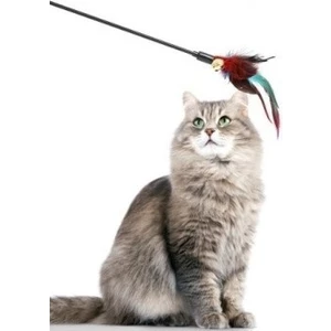 Çıngıraklı Tüylü Kedi Oyun Çubuğu