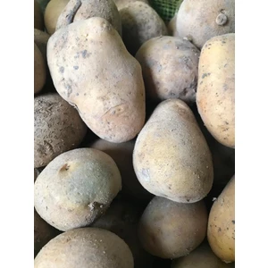 Karahasanoğlu Tarım Marabel Yerli Tohumluk Patates 1 kg