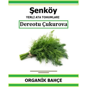 Yerli Akdeniz Dereotu Tohumu Doğal Ata Tohum Pakette 5 Gr 3500 Tohum + Hediye Sebze Tohumu