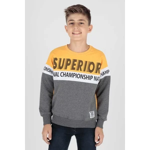 Erkek Çocuk Superior Baskılı Trend Sweatshirt AK15118