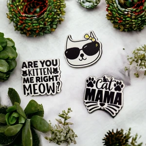 Are You Kitten Me Ahşap Rozet Seti