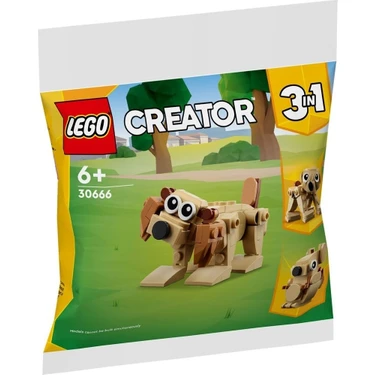 LEGO 30666 Creator 3 In 1 Gift Animals Polybag (75