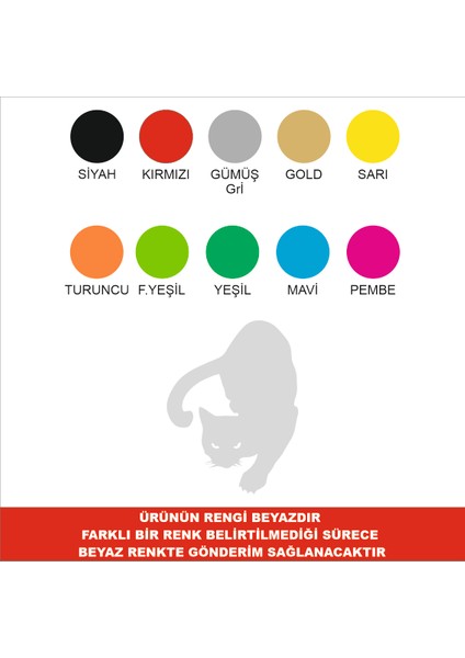Kedi Sticker