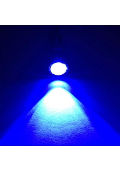 1 Adet Mavi Beyaz Smd Eagle Eye LED Motor Gündüz Çalışan Yedekleme Dönüş Sinyali Işığı Araba Oto Plaka Lambaları (Yurt Dışından)