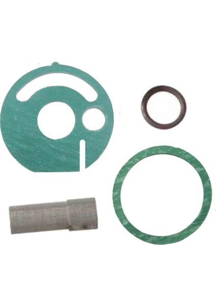 4 Adet Eberspacher Hydronic D5WZ D5WS D3WZ B4WSC Dizel Park Su Isıtıcı Servis Kiti Süzgeç Contası O-Halkaları (Yurt Dışından)