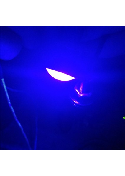 12V Tarzı Mavi 2x W Beyaz Kırmızı Sarı Buz Mavisi Araba LED Kartal Göz Işık Sis Ters Sinyal Gündüz Çalışan Ampul Lambası 12V 24V (Yurt Dışından) fiyatları