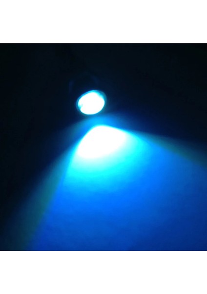1 Adet Buz Mavisi Beyaz Smd Eagle Eye LED Motor Gündüz Çalışan Yedekleme Dönüş Sinyali Işığı Araba Oto Plaka Lambaları (Yurt Dışından)