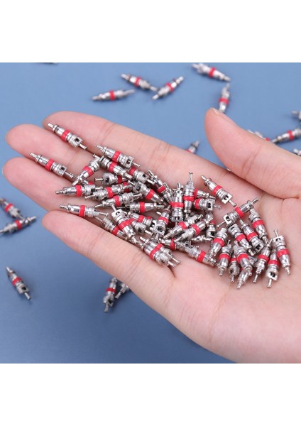 Ar Kamyon Alaşımlı Lastik Lastik Vana Kök Çekirdek Parçası Yedek Lastik Çinko Alaşımlı Vana Kök Çekirdek Parçası Araba Aksesuarları (Yurt Dışından)