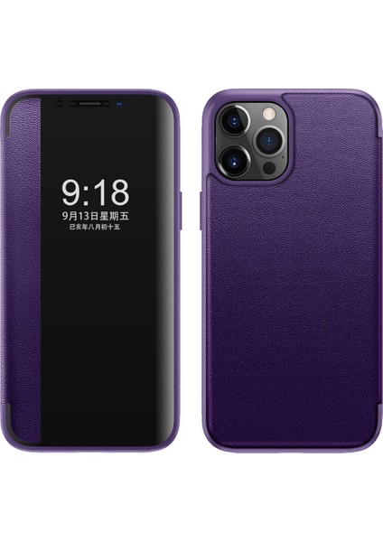 iPhone 13 Pro Max Için Klasik Business Görünüm Penceresi Flip Deri Telefon Kılıfı - Mor (Yurt Dışından)