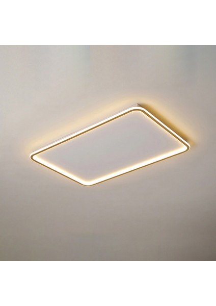 Plafonia 60X40CM Tavan Tipi LED Avize