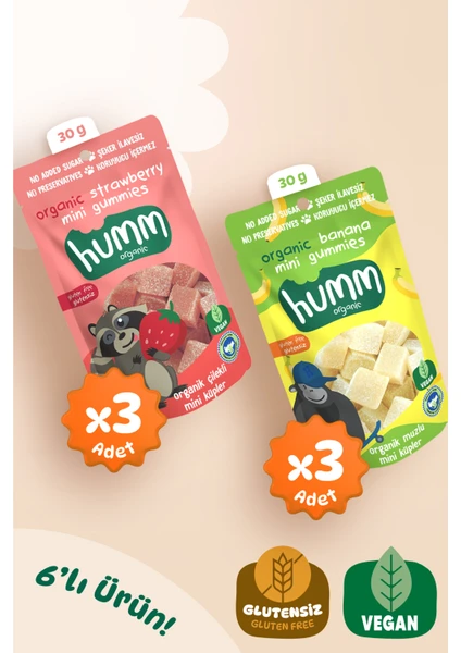 Humm Organic - Organik Glutensiz Vegan Mini Küpler Atıştırmalık Paketi - 6 Adet (2 Çeşit)