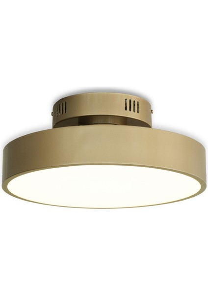 LED Avize Plafonyer Ullgo 40CM