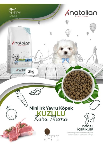 Premium Mini Puppy Lamb Kuzulu Küçük Irk Yavru Köpek Maması 2 kg