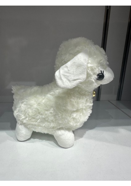 Peluş Sesli Kuzu