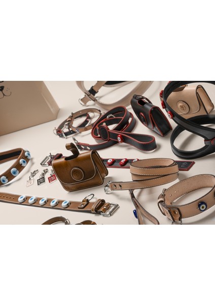 Patara Collection Deri Köpek Boyun Tasması