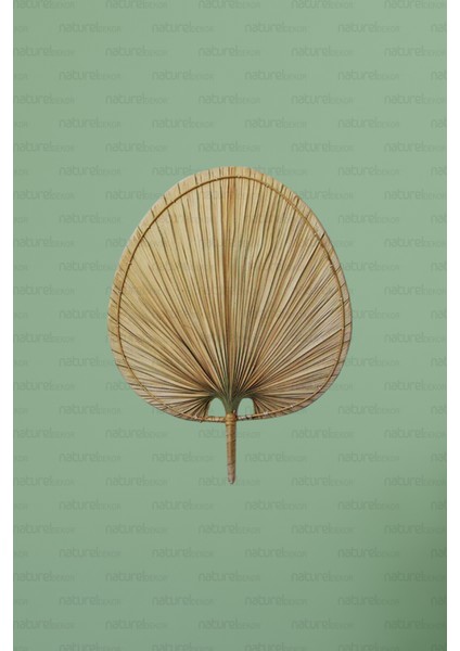 Naturel Home Bohem Japon Yelpazesi 42X55 Cm, Duvar Dekorasyon, Duvar Süsü, Iskandinav, Modern, Rattan