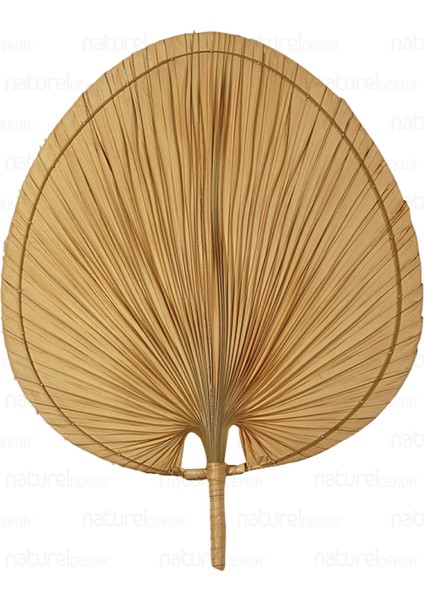 Naturel Home Bohem Japon Yelpazesi 55X70 Cm, Duvar Dekorasyon, Duvar Süsü, Iskandinav, Modern, Rattan