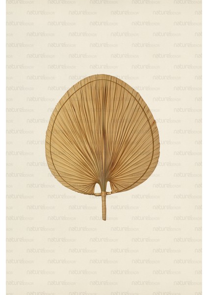 Naturel Home Bohem Japon Yelpazesi 55X70 Cm, Duvar Dekorasyon, Duvar Süsü, Iskandinav, Modern, Rattan