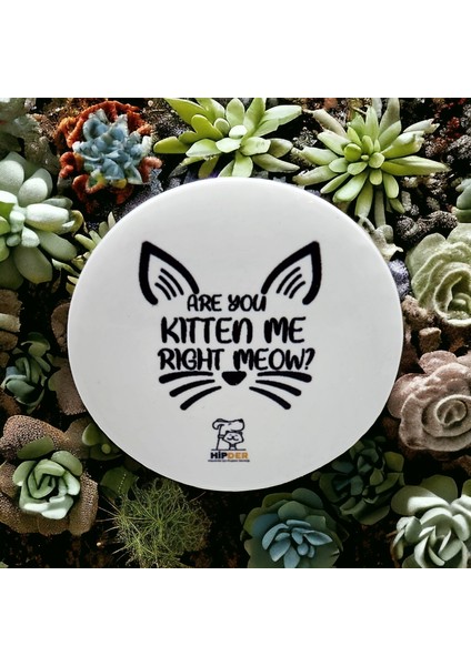 Are You Kitten Me Açacak Magnet