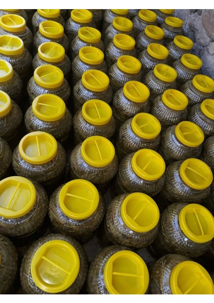 Salamura Asma Yaprağı 5lt pette 2500gr,3500gr salamura yaprak vardır
