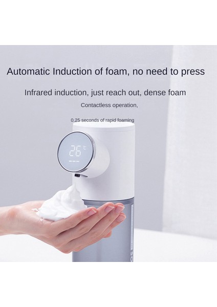 Sabunluk (Yurt Dışından) fiyatları