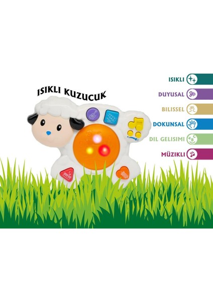 Müzikli Kuzu Piyano Hj 8003, Işıklı ve Sesli Çocuklar Için Eğlenceli Oyuncak