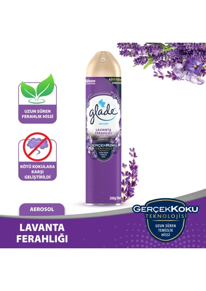 Aerosol Oda Kokusu Lavanta Ferahlığı 300 ml