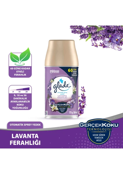 Otomatik Sprey Oda Kokusu Yedek Lavender kk