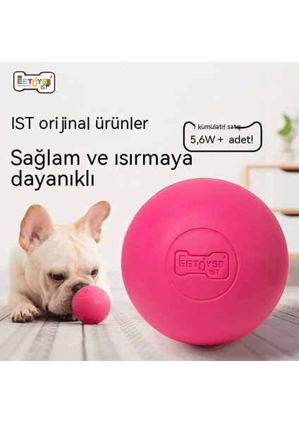 Köpek Eğitim Köpeği Sessiz Eğitim Isırma Oyuncak Eğitim Topu (Yurt Dışından)