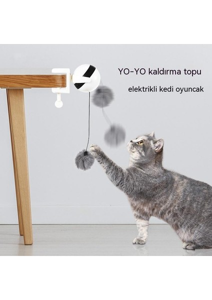 Elektrikli Kedi Oyuncak Oyunu Elektrikli Kaldırma Topu Kendinden Kedi Oyuncak Peluş (Yurt Dışından)