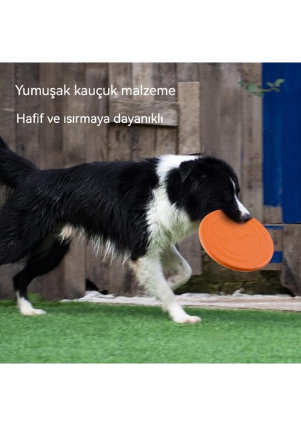 Meianju Pet Yumuşak Frizbi (Yurt Dışından)