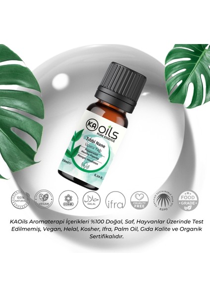 Tıbbi Nane Saf Uçucu Yağı 10 ml - %100 Saf ve Doğal Peppermint Essential Oil