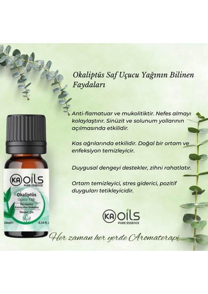 Okaliptus Uçucu Yağı 10 ml