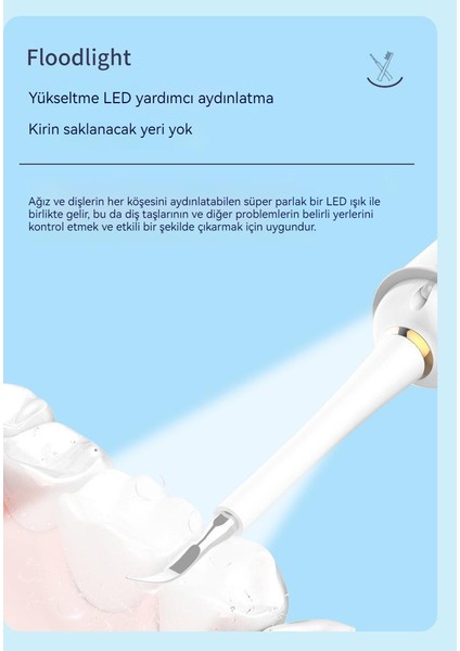 Ben Nevis Sonic Şarj Edilebilir Elektrikli Diş Fırçası Elektrikli Diş Taşı Temizleyici (Yurt Dışından)