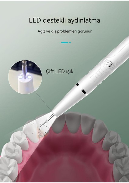 Ben Nevis LED Ultrasonik Elektrikli Taşınabilir Diş Taşı Temizleyici Paslanmaz Çelik Diş Temizleme Cihazı Güzellik Diş Cihazı (Yurt Dışından)